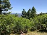 000 Peak View Ridge - Photo 10