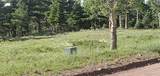 Lot 2120 Sigler Drive - Photo 7