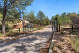 11545 Calle Corvo - Photo 37
