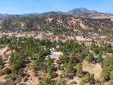 11545 Calle Corvo - Photo 42