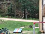 8226 Brook Forest Road - Photo 43