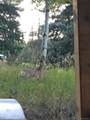 8226 Brook Forest Road - Photo 44