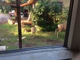 8226 Brook Forest Road - Photo 48