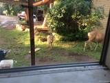8226 Brook Forest Road - Photo 49