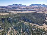 106 Colorado Land & Grazing - Photo 18