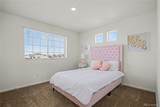 26309 Maple Drive - Photo 35