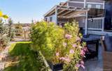 2227 Rosette Lane - Photo 42