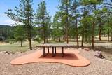 248 Pine Forest Road - Photo 28