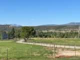 21700 Uncompahgre Road - Photo 5