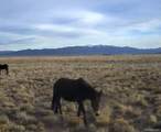 00 Acoma Trail - Photo 9