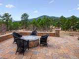 32106 Fox Run Lane - Photo 46