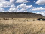 33609 St Highway 17 - Photo 11