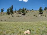 3431 Dog Chief Trail - Photo 5