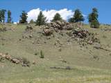 3431 Dog Chief Trail - Photo 6