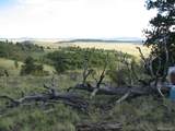 3431 Dog Chief Trail - Photo 8
