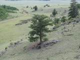 3431 Dog Chief Trail - Photo 10