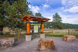 30591 Sun Creek Drive - Photo 41