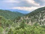 1209 Coyote Run - Photo 2