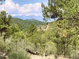 1209 Coyote Run - Photo 19