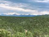 1209 Coyote Run - Photo 26