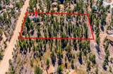 55 Crosscut - Photo 43