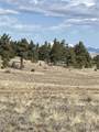  Guipago Trail - Photo 2