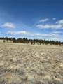  Guipago Trail - Photo 5
