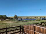 15180 Yellowthroat Street - Photo 26