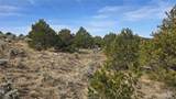 Lot 4536 Sarnoff Road - Photo 14