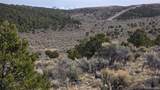 Lot 4536 Sarnoff Road - Photo 16