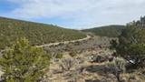 Lot 4536 Sarnoff Road - Photo 6