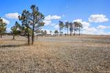 Lot 4 Forest Heights Circle - Photo 21