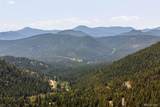 2667 Witter Gulch Road - Photo 42