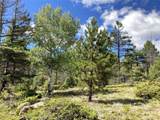 TBD L 27 Copper Mountain Road - Photo 16