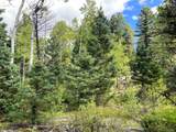 TBD L 27 Copper Mountain Road - Photo 17