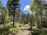 TBD L 27 Copper Mountain Road - Photo 18