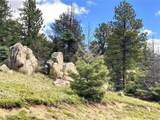 TBD L 27 Copper Mountain Road - Photo 3
