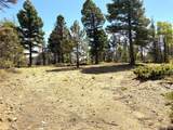 TBD L 27 Copper Mountain Road - Photo 22