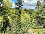 TBD L 27 Copper Mountain Road - Photo 4