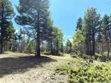 TBD L 27 Copper Mountain Road - Photo 9