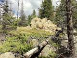 TBD L 27 Copper Mountain Road - Photo 10