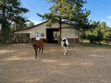 4701 County Road 323 - Photo 20
