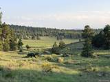 4701 County Road 323 - Photo 30