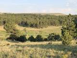 4701 County Road 323 - Photo 31