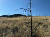 0 Copper Gulch Road - Photo 23