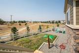 1045 Penstemon Drive - Photo 32
