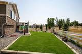 1045 Penstemon Drive - Photo 37