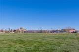 8143 Silver Birch Drive - Photo 44
