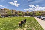 9019 Panorama - Photo 28