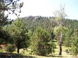 #2 County Road 12 - Photo 3